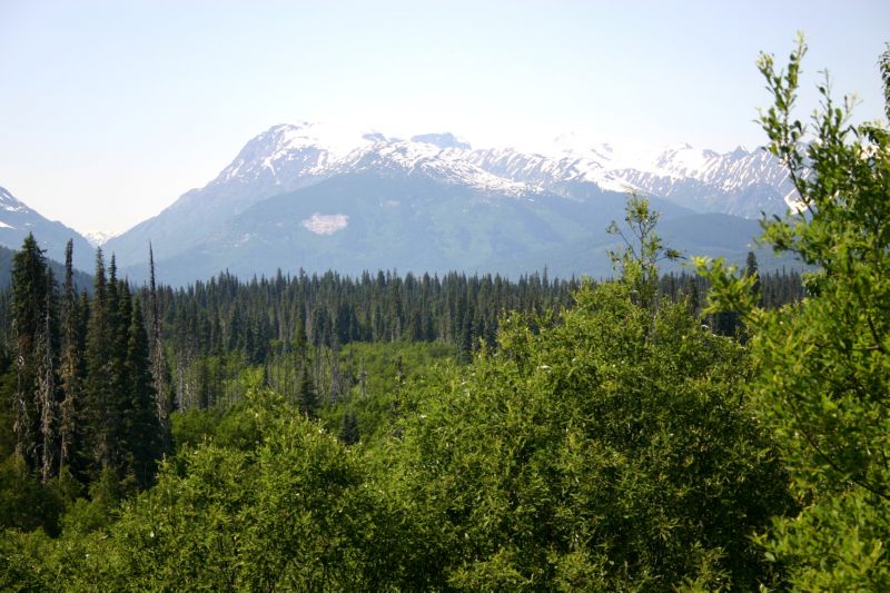 062004 P Rupert to Hyder AK (10165)